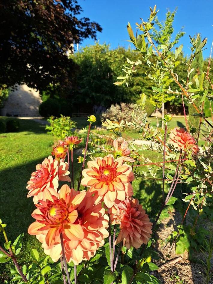 Chambre d’hôte pour 2 personnes, avec jardin dans Parc national de forêts - 3