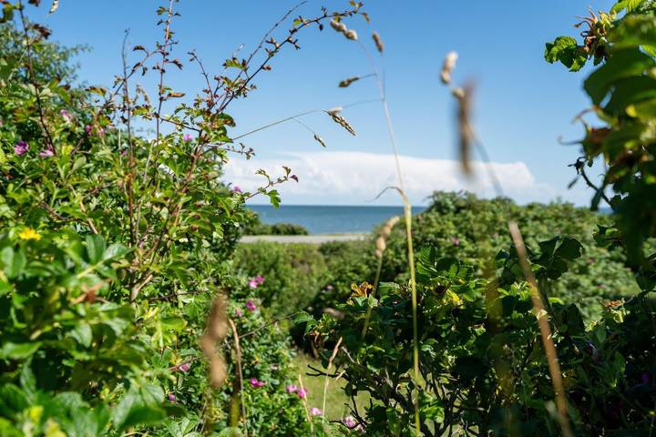 Ferienwohnung für 6 Personen, mit Ausblick und Garten, mit Haustier in List (Sylt) - 2