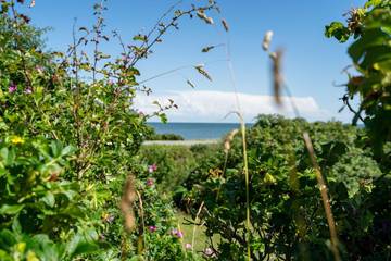 Vacation Rental for 6 Guests in List (Sylt), Sylt, Picture 1