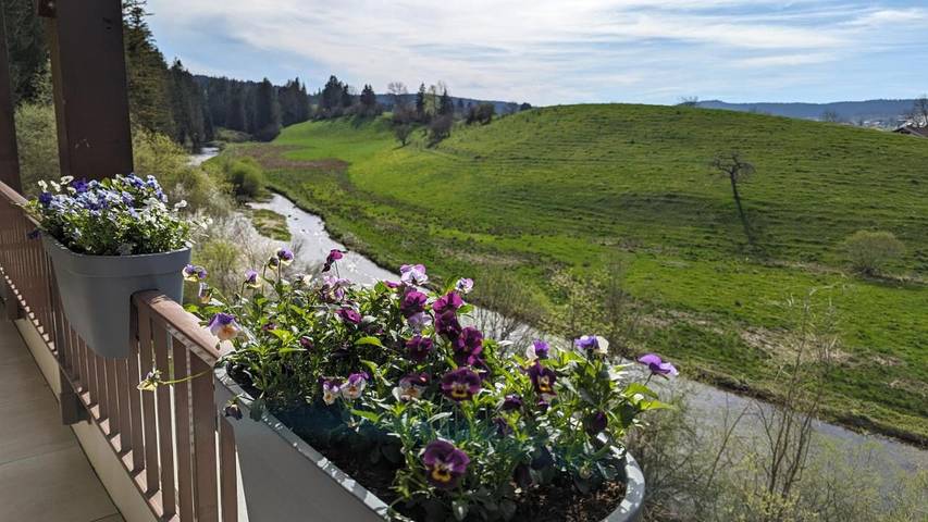 Gîte pour 4 personnes, avec vue et terrasse, animaux acceptés à Labergement-Sainte-Marie - 2