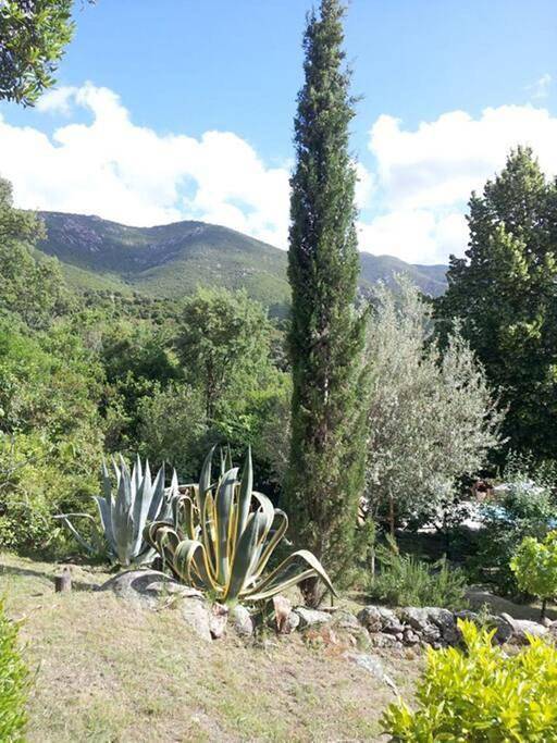 Casa de Patarra gîte dans le maquis avec piscine privée in Peri, Région d'Ajaccio