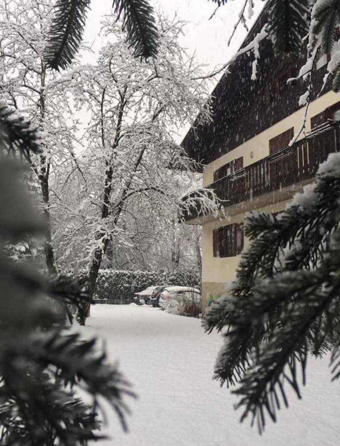 Family Suite in Pinzolo, Comune di Pinzolo