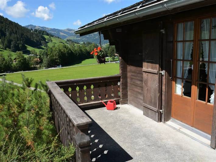 Ganze Wohnung, 3 Zimmer 4 Personen in Gstaad, Saanen