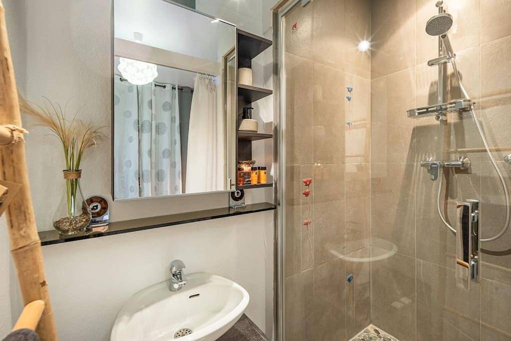 Appartement entier, One-Bedroom Apartment in Bischheim, Région de Strasbourg