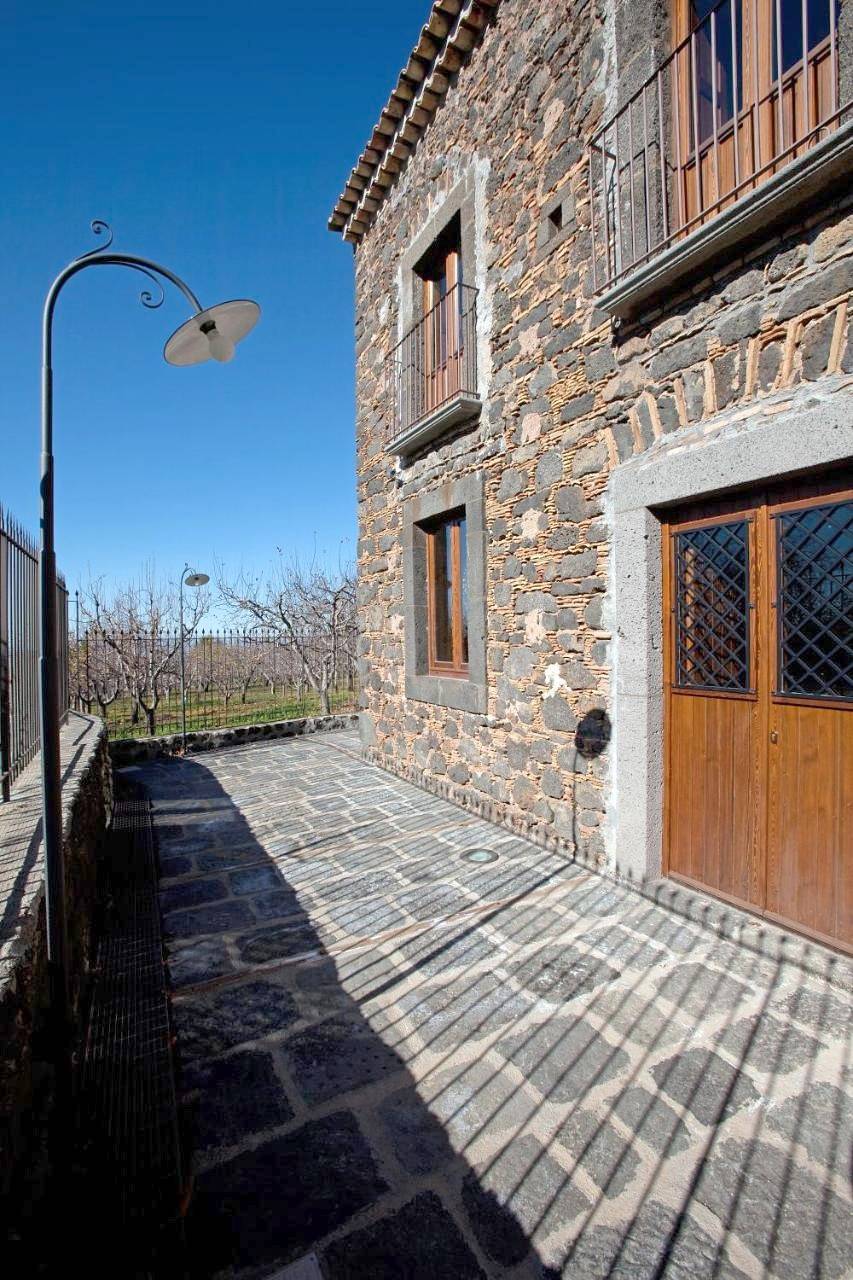 Bosco Ciancio in Biancavilla, Etna