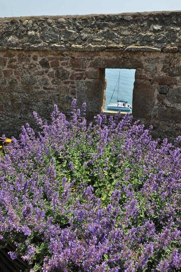 Gîte pour 4 personnes, avec vue dans Port de Plaisance des Sablons - 2