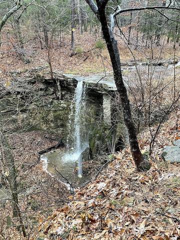 Log Cabin for 2 Guests in Ozark Mountains, Missouri, Picture 4