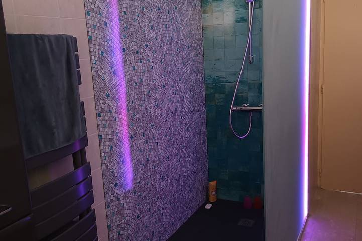 Location de vacances pour 6 personnes, avec jardin à Clavette (Charente-Maritime) - 4