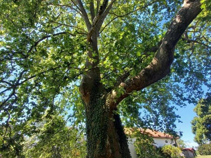 Location de vacances pour 4 personnes, avec terrasse à Bélis - 4