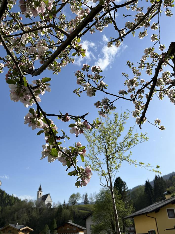 Ferienwohnung für 3 Personen, mit Balkon, kinderfreundlich in Dienten am Hochkönig - 3