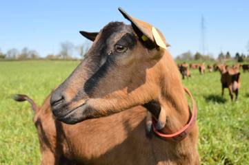 Appartement de vacances pour 2 personnes, avec vue dans le Cher