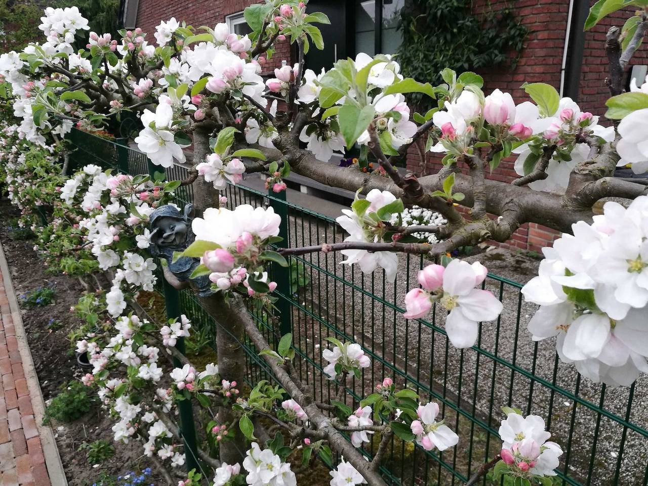 Ganze Ferienwohnung, Ferienwohnung Rhede - Erich Studioapartment mit Gartenblick in Rhede, Niederrhein