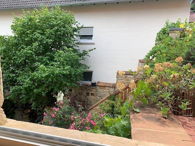 Ferienwohnung für 4 Personen, mit Terrasse und Garten im Pfälzer Wald - 3
