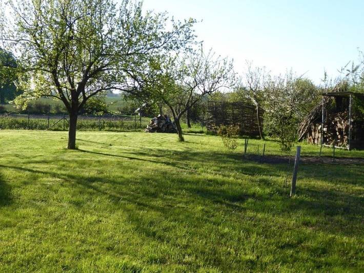 Ferienwohnung für 4 Personen, mit Garten und Ausblick sowie Terrasse, kinderfreundlich in der Feldberger Seenlandschaft - 3