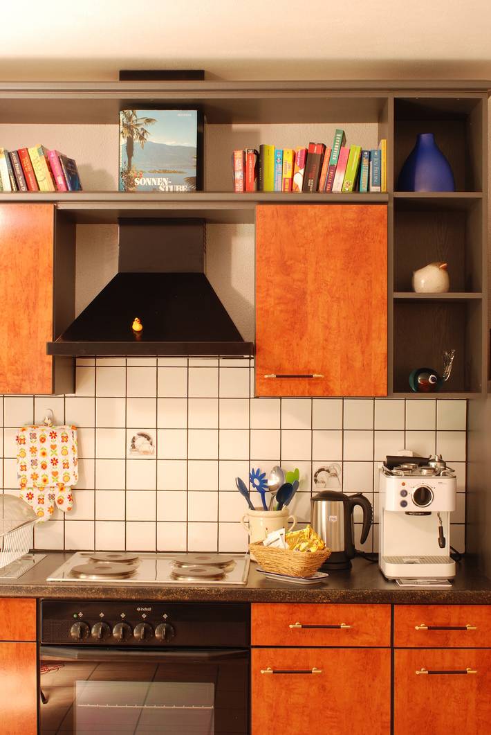 Ganze Ferienwohnung, Serenita in Gambarogno, Lago Maggiore (Schweiz)