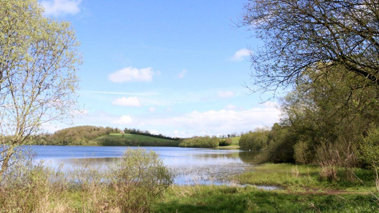Entire apartment, Emy Lake Studio in Monaghan, County Monaghan