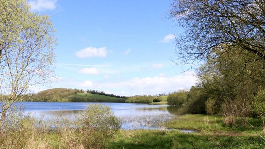 Gîte pour 3 personnes, avec vue et jardin, animaux acceptés dans Monaghan