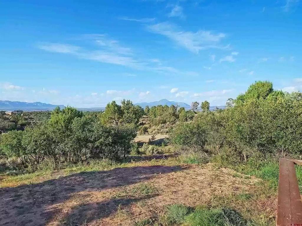 Colorado cabin featuring a Ev car charging station in San Juan National Forest