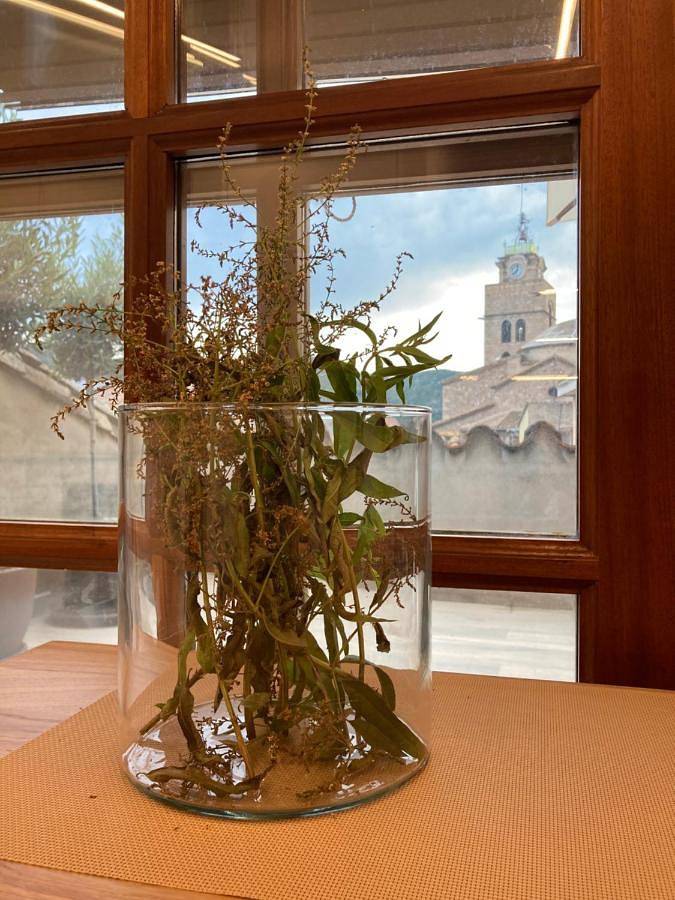 Gîte pour 3 personnes, avec jardin et vue à Santa Coloma de Farners - 4