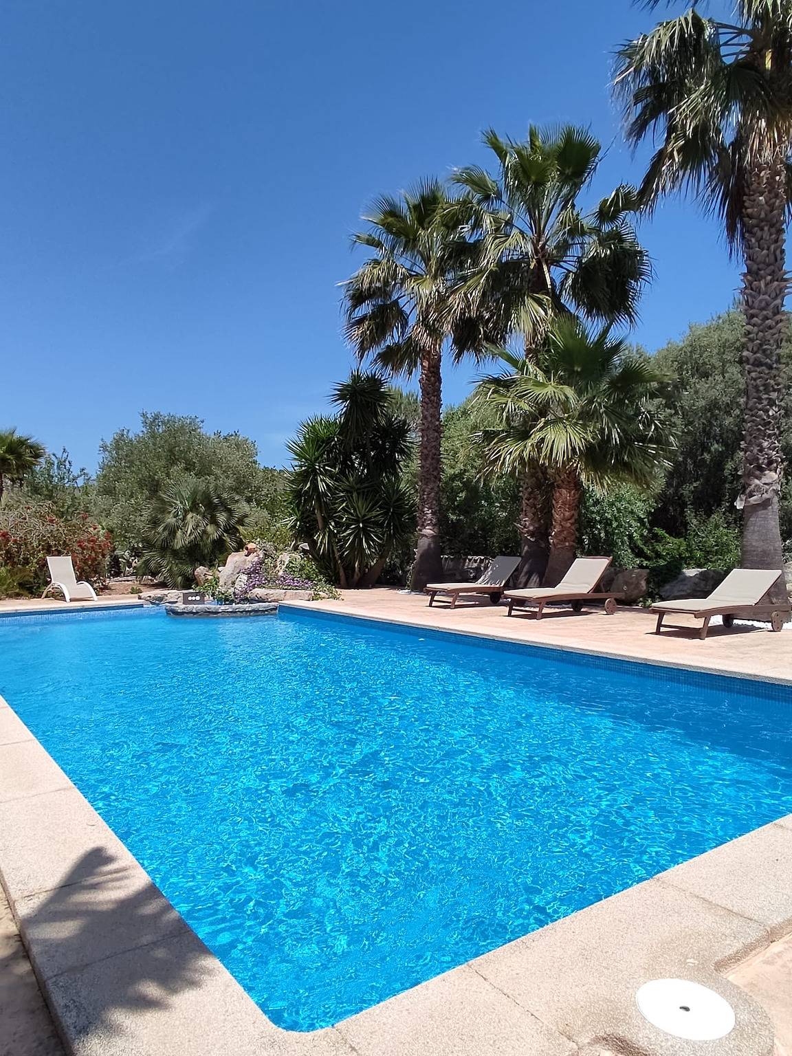 Yourhouse Son Morey in Artà, Mallorca Osten