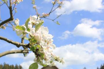 Ferienwohnung für 2 Personen in Schleiz, Ostthüringen, Bild 4