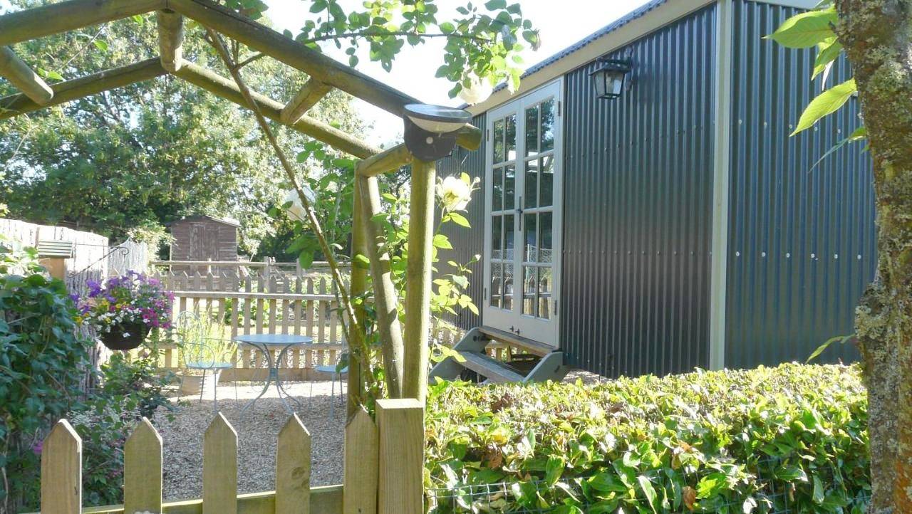 Dolly at Lowlands in Hampshire