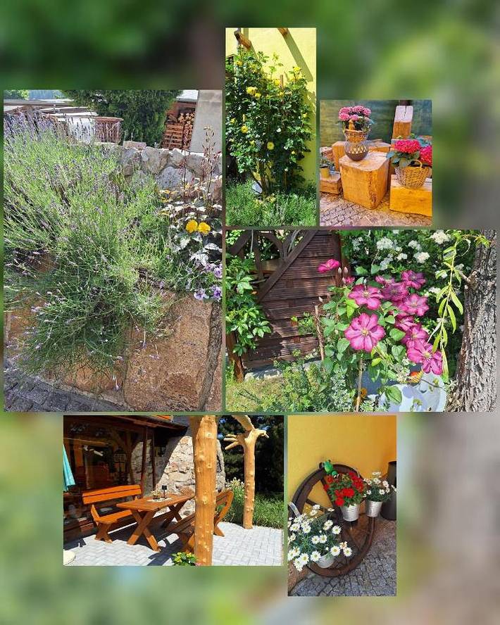Hotel für 3 Personen, mit Balkon und Terrasse sowie Garten und Sauna in Lengenfeld - 4