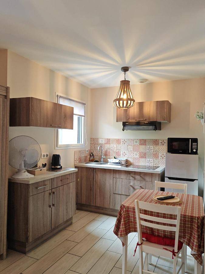 Gîte pour 2 personnes, avec vue et jardin à Adast - 3