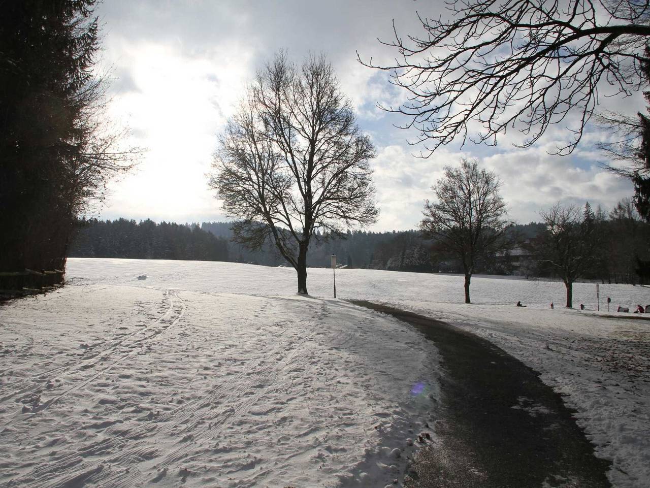 Ganze Ferienwohnung, Ferien-Oase - Ferien Oase - Ferienwohnung Nr. 4 in Bad Dürrheim, Mittlerer Schwarzwald