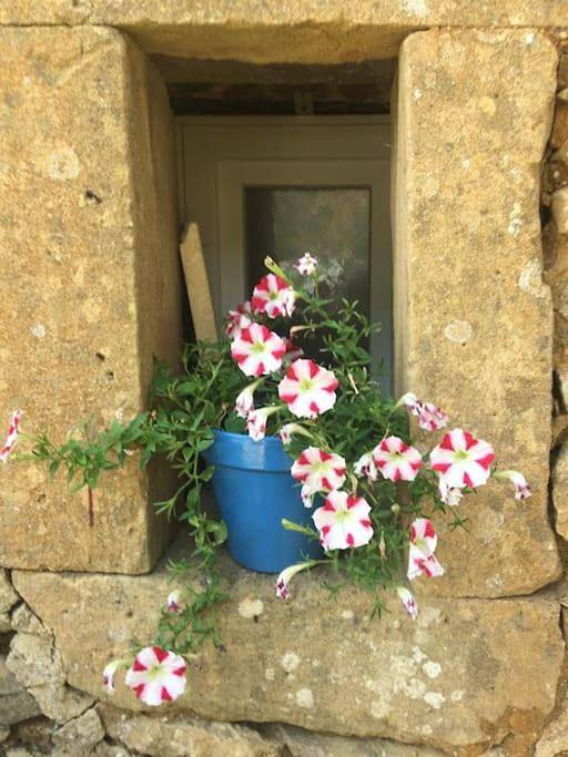 Gîte pour 2 personnes, avec piscine et jardin à Aigaliers - 2