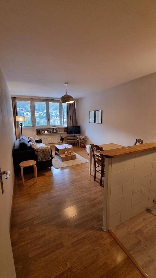 Gîte pour 6 personnes, avec balcon et vue dans Cinéma L'Aiguille - 3