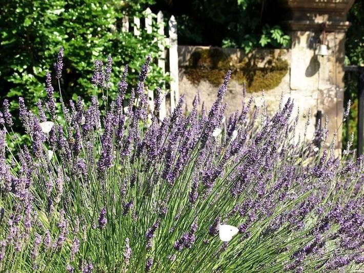 Location de vacances pour 2 personnes dans Aydoilles - 2