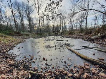 Vakantiehuis voor 4 Personen in Hasmark Strand, Nordfyn, Afbeelding 4