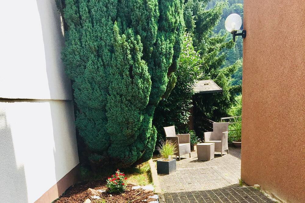 Ganze Wohnung, Apartment Nr.2 Luftkurort, Perle des Neckartals in Hirschhorn, Bergstraße