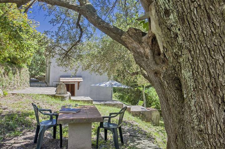 Gîte pour 3 personnes, avec Terrasse et Jardin à Pietracorbara
