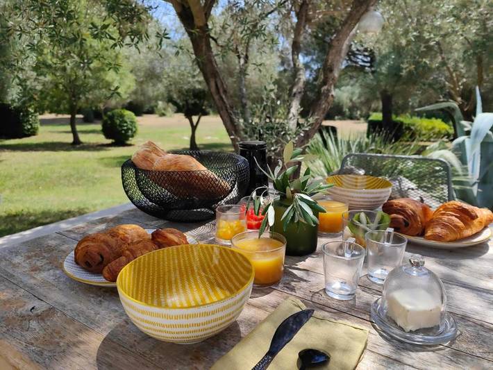 Chambre d’hôte pour 2 personnes, avec piscine ainsi que vue et jardin à Lunel - 4