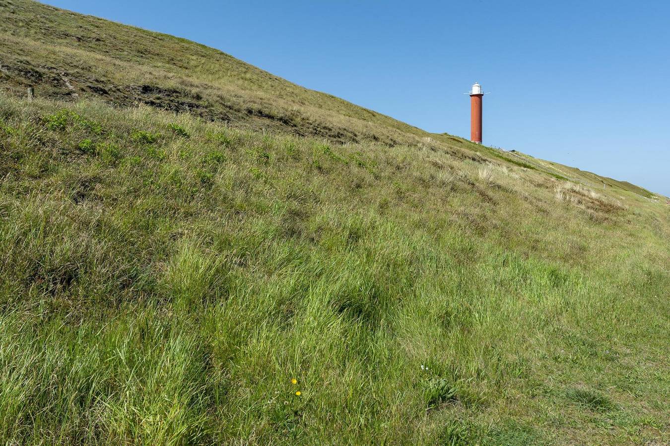 Callinghe Vakanties — Sandepark 66 in Groote Keeten, Noord-Holland - Nordseeküste