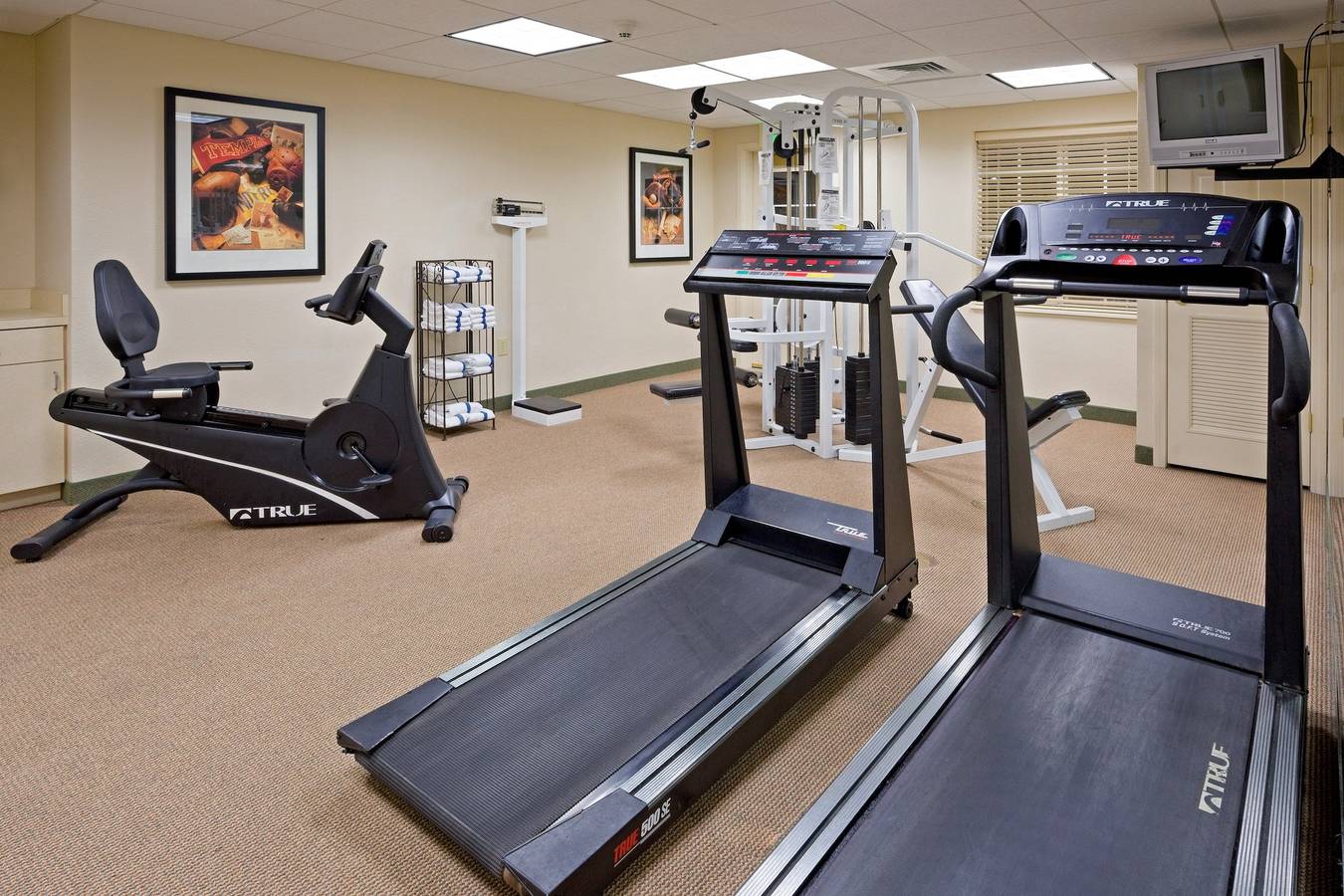 Ganzes Studio, Studio für 4 Personen in Cranbury Township, New Jersey