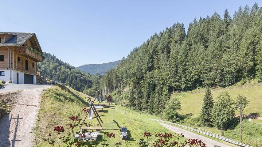 Ferienwohnung für 5 Personen, mit Garten und Sauna in Nationalpark Schwarzwald - 4
