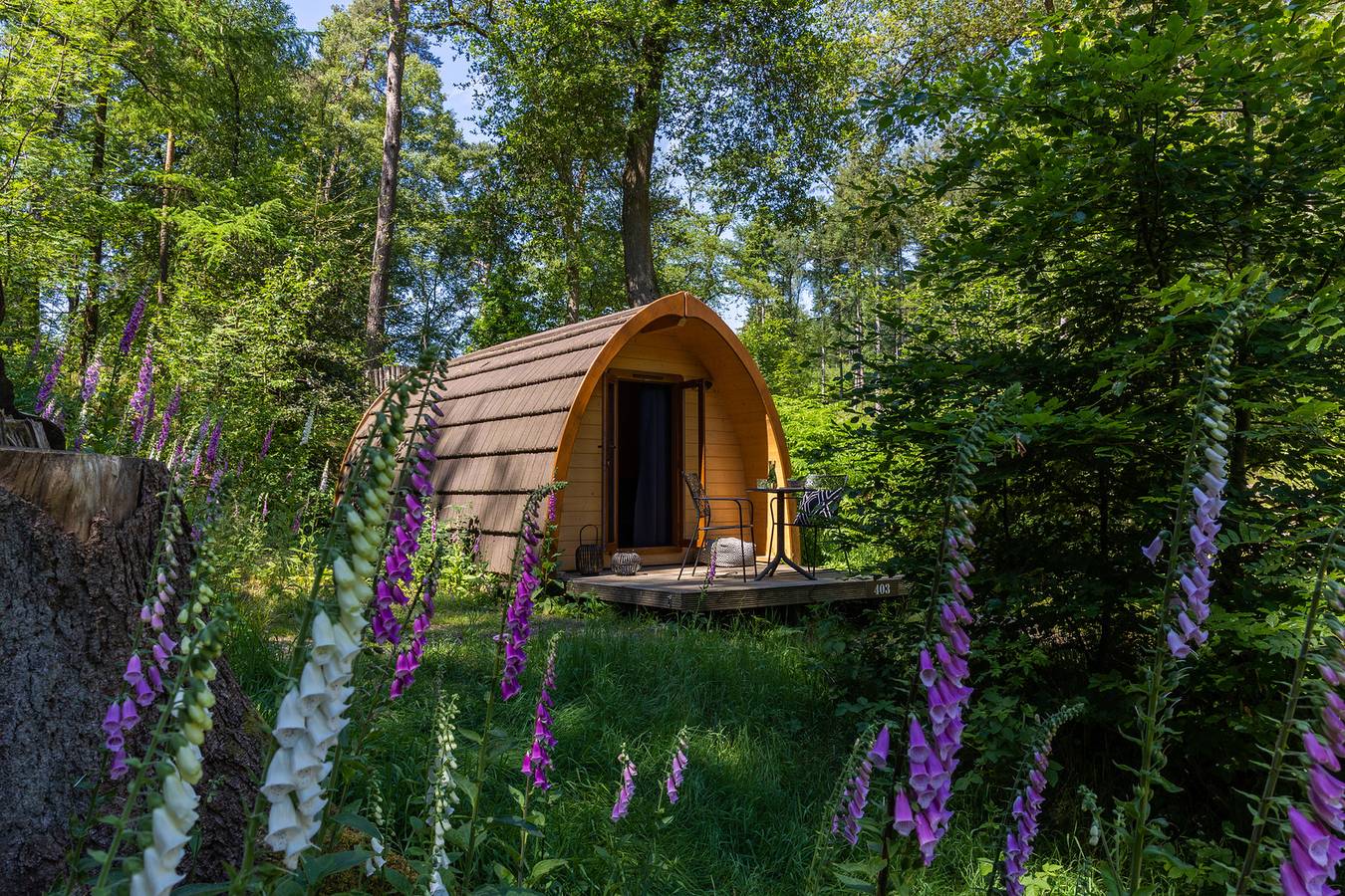 Buitenplaats Beekhuizen Exploitatie B.V. — Superior Pod in Veluwe