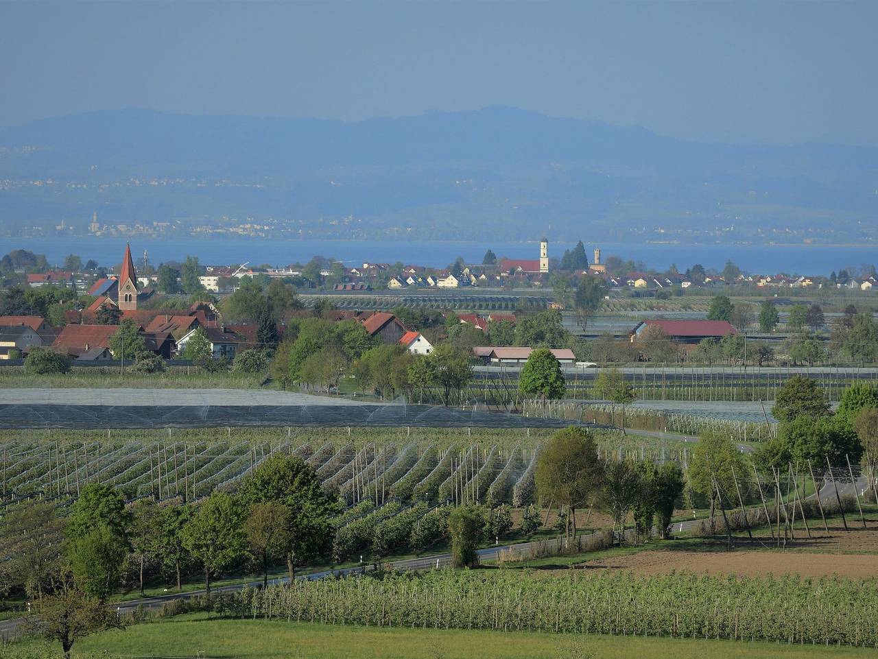 Ganze Ferienwohnung, Ferien- und Obsthof Dillmann - Ferienwohnung C in Langenargen, Bodenseekreis