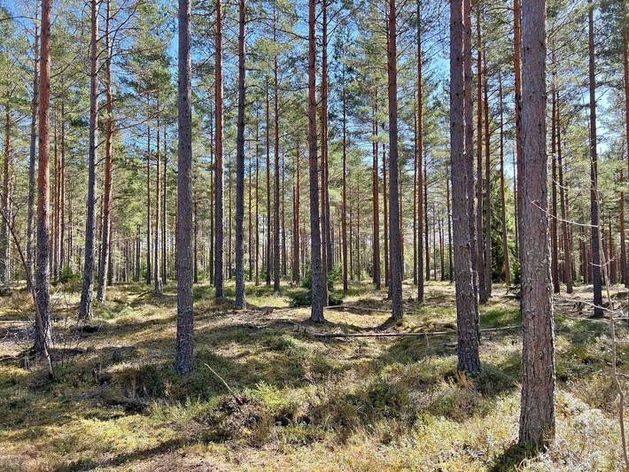 7 personas casa en Järna in Mar báltico sueco