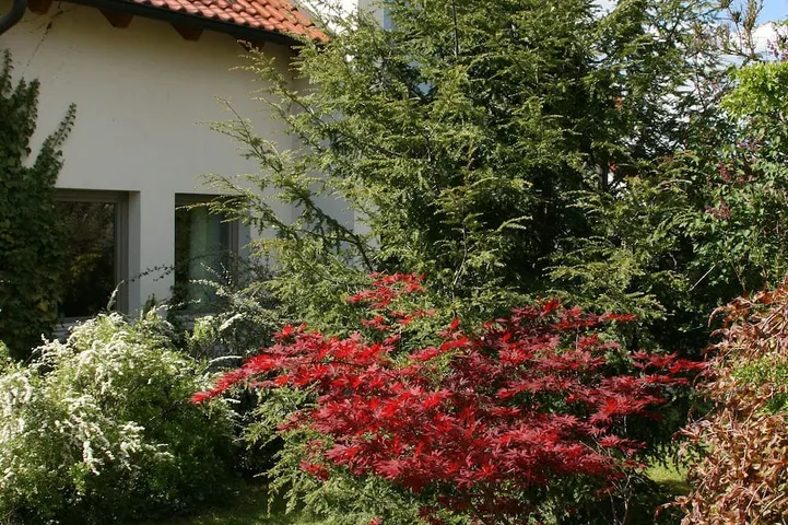 Freistehendes, komfortabel eingerichtetes Ferienhaus mit herrlichem Garten in Gohrisch, Elbsandsteingebirge
