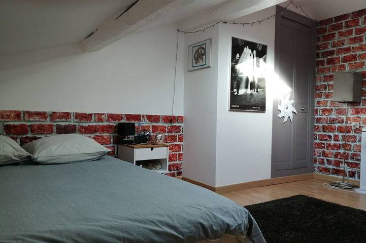 Location de vacances pour 8 personnes, avec jardin, animaux acceptés à Aignes - 4