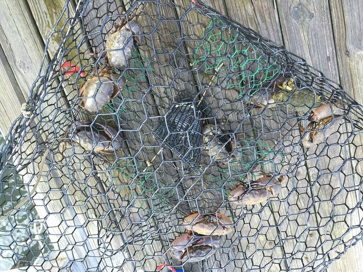 Ferienhaus für 10 Personen, mit Whirlpool und Garten - 1