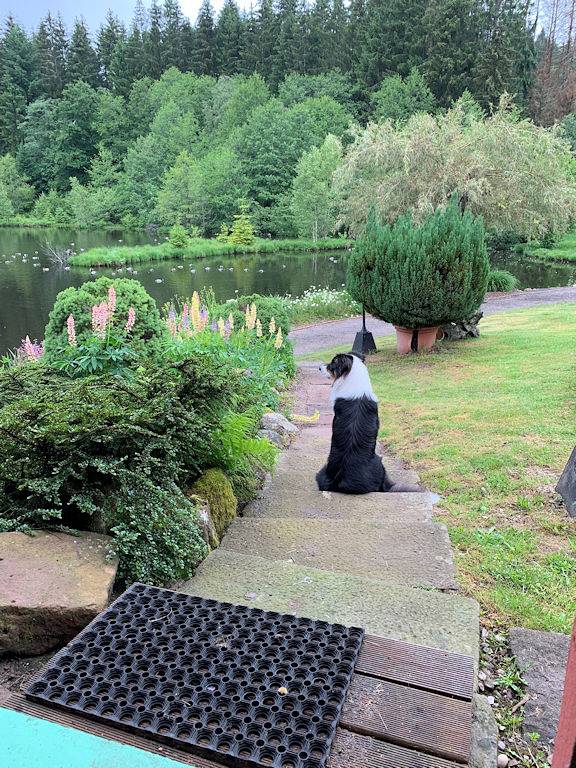 Chalet / Domaine, étang privé, Hautes Vosges Canadienne in Rupt-sur-Moselle, Région d'Épinal