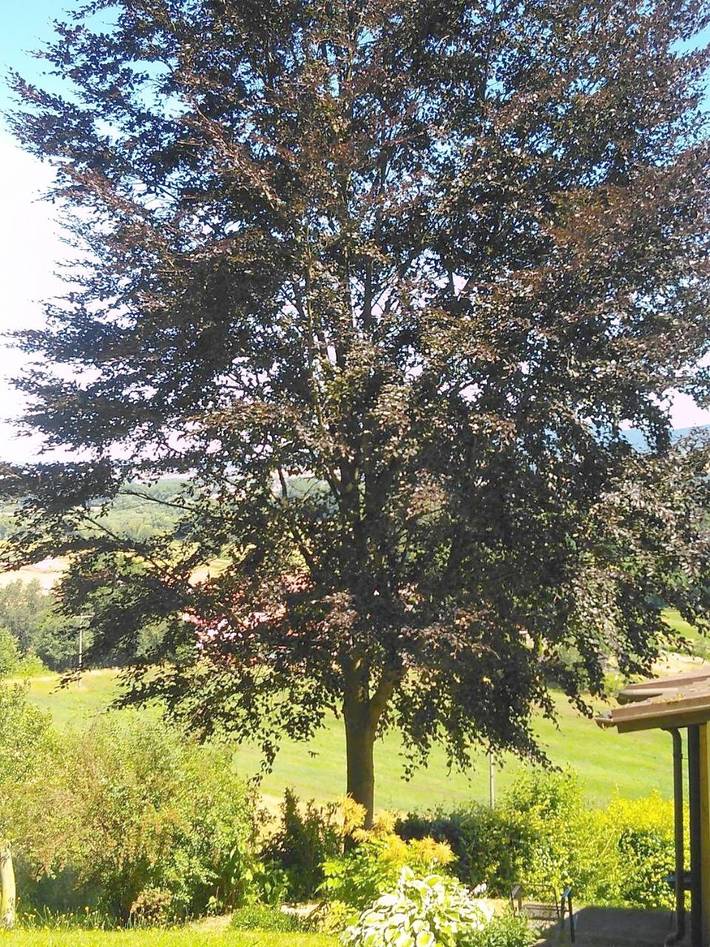 Ferienhaus für 3 Personen, mit Terrasse und Seeblick sowie Ausblick in Werratal - 3