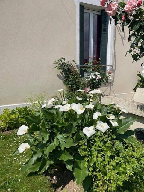 Gîte pour 4 personnes, avec jardin à Trappes - 3