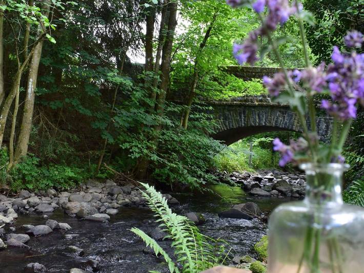 Ferienhaus für 8 Personen, mit Garten und Terrasse, mit Haustier im Westerwald - 4