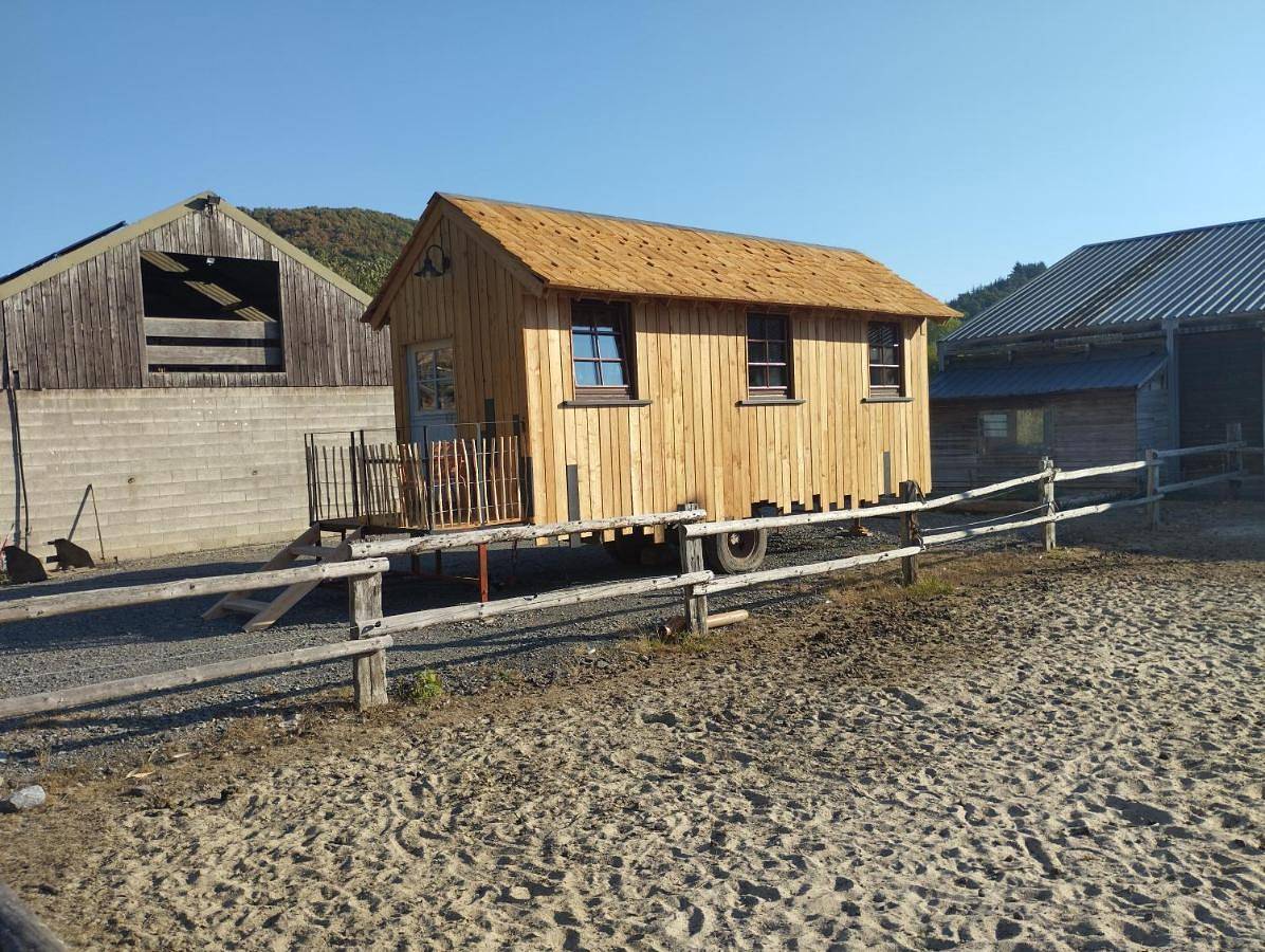 Economy Single Room in Heyd, Durbuy